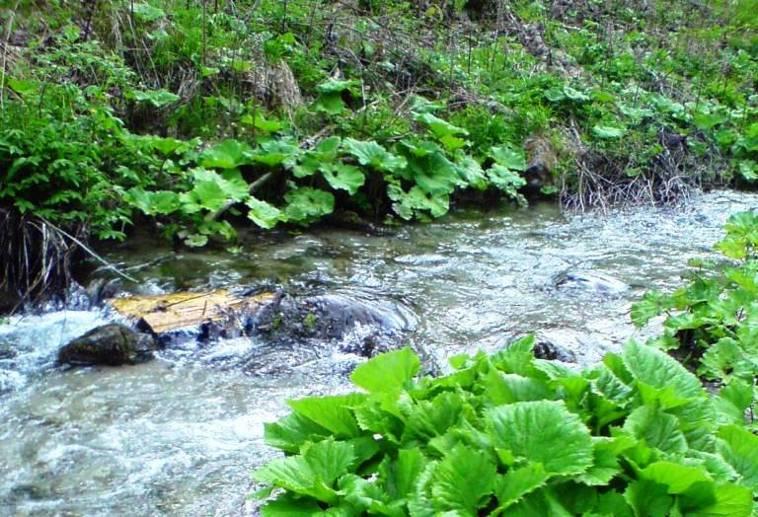 Na jar chceme byť svieži Jarné lúče nás vábia ísť von, aby sme sa pokochali v prebúdzajúcej sa prírode a nabrali potrebnú silu. Na potulkách sme so žiakmi 1.