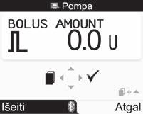 Piktograma Standard Bolus (standartinis boliusas) mirksi 5 sekundes (boliuso švirkštimo atidėjimas).