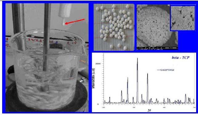 20. Modele experimentale - produse compacte dense/poroase,