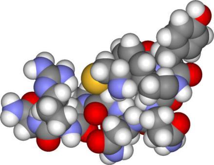 Proteini/peptidi (4-40