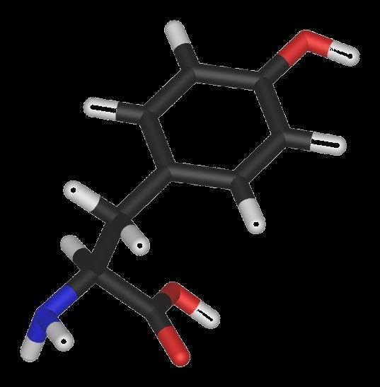 Steroidni hormoni Hormoni kore nadbubrega glukokortikoidi, mineralokortikoidi Hormoni reproduktivnog sistema estrogeni, progestini, androgeni Vitamin D