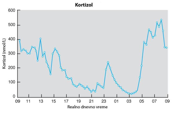 Regulacija oslobađanja hormona Pulsno oslobađanje, koje