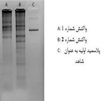 شده ایجاد تغییر تایید برای ش د. استخراج پالس مید سپس برای شد.