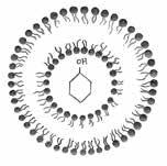 برای پایدارسازی ابعادی نانوسامانههای دارویی در سیستم گردش خون کدام روش مناسب تر است 1( تنظیم ph محلول حاوی نانو سامانه در حین فرآیند تولید به منظور باردار کردن سامانه دارویی 2( استفاده از امواج