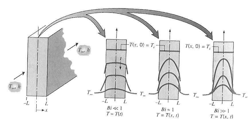 جابجائی سطحی شکل )5-7( مدل اثر عدد بایو روی