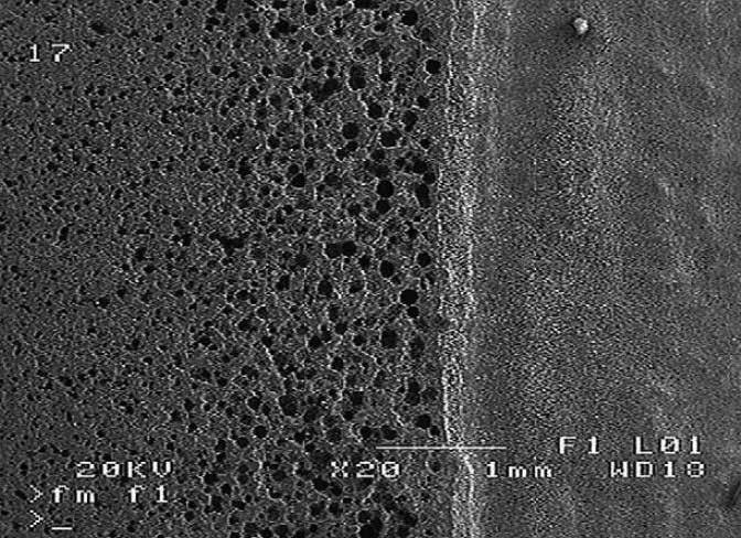 تصویر میکروسکوپ الکترونی روبشی SEM( ) منطقه جوش نمونه عملیات شده در حالت A جوش پذیری فوالد زنگنزن 17-4PH در ساخت پروانه کمپرسور گریز از مرکز 1 نوسازی تعمیر و نگهداری قطعات متحرک کمپرسور گریز از مرکز