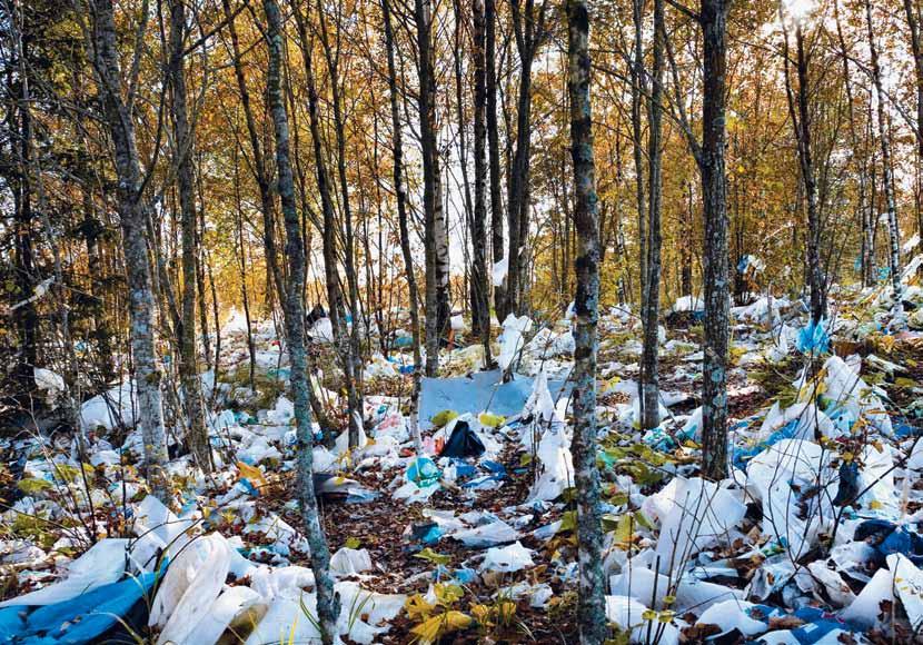 Događaji Organizmi koji razgrađuju plastiku Tekst: Marija Glavaš Foto: arhiva Nijedna šuma to ne zaslužuje Rat prirode i znanstvenika protiv zagađenja plastikom Ambalaža od polietilena predstavlja
