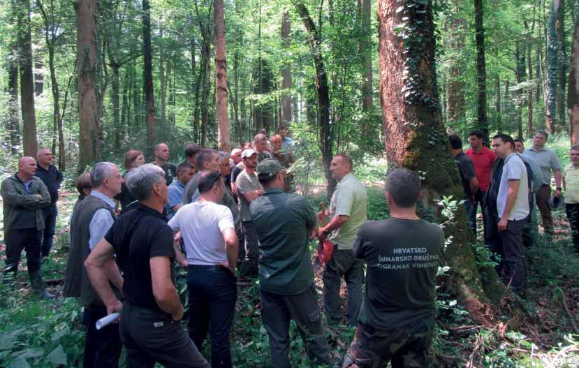 Na prvu dojavu, profesor je polovicom prosinca prošle godine obišao spomenutu sastojinu i determinirao uzročnika, a otpadanje kore događa se jer brojne ptice u potrazi za ličinkama štetnika kljucaju