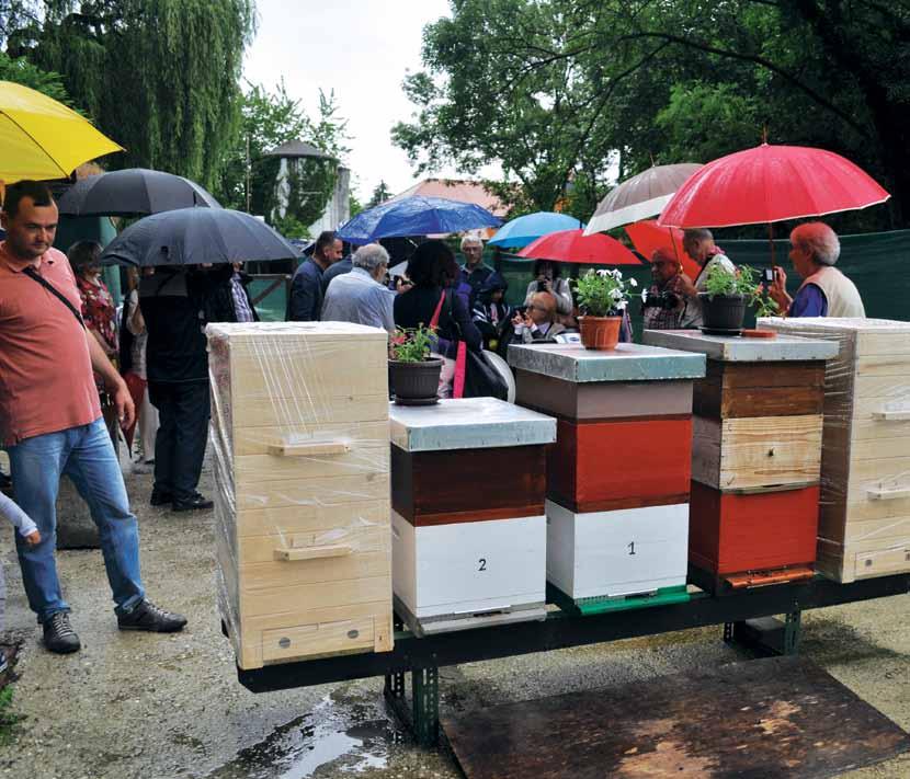 Zanimljivosti Urbani pčelinjak za svakoga Tekst/foto: Helena Jakobović Pčelarstvo kao terapija Urbani pčelinjak za svakoga U posljednje vrijeme u medijima se može čuti priča o izumiranju pčela i