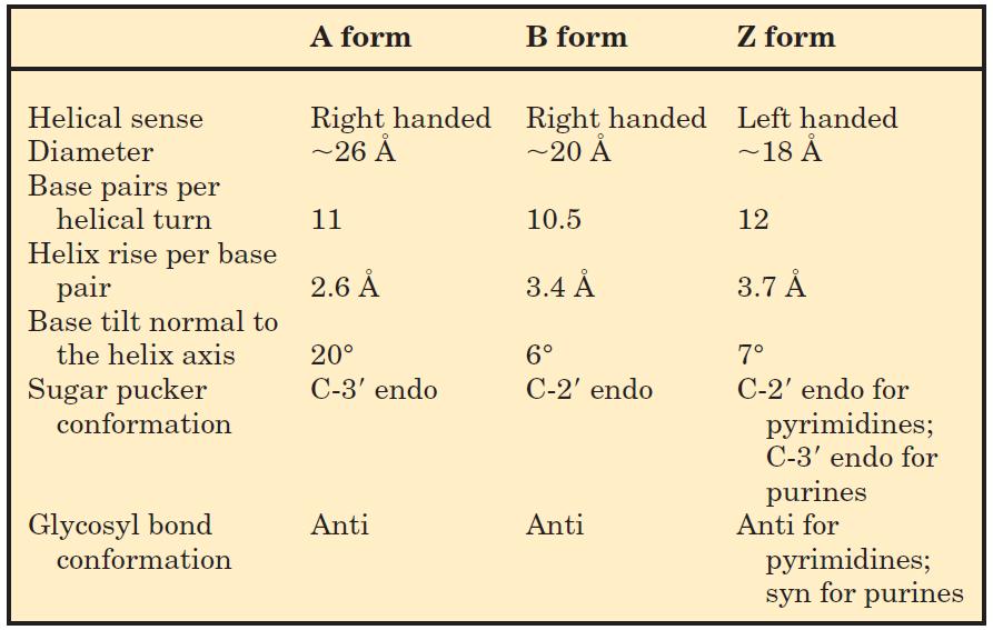 3/28/2018 Curs V - Structura acizilor nucleici 9 Conformații ale moleculei de DN Funcție de valorile pe care le iau cele 7 unghiuri și conformația restului de deoxiriboză au fost descrie 3