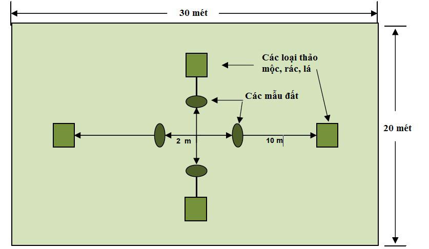 PART III MODULE 4 SESSION 2 HOW TO MEASURE AND MONITOR CARBON A SIMPLE GUIDE 127 Đồ thị 9. Tiểu ô trong ô mẫu hình chữ nhật Nguồn: Sukwong et.al. 2011 e.