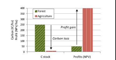 PART II MODULE 2 SESSION 6 REDD+: COMPARING COSTS AND BENEFITS 77 Đánh giá chi phí cơ hội của REDD+: Một ví dụ Hình dưới đây tóm tắt lượng carbon lưu giữ và lợi nhuận của mỗi lần sử dụng đất.