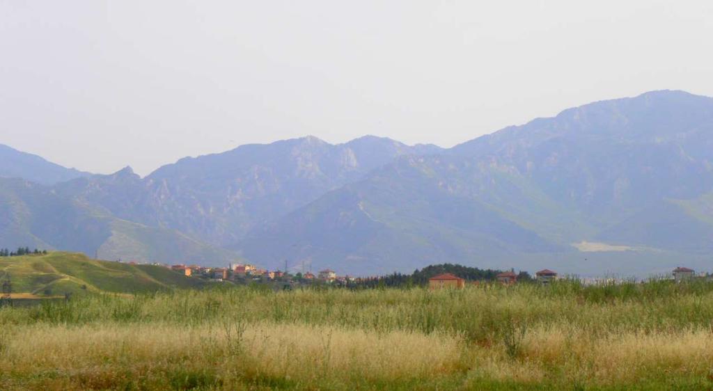 Valle Licos Nativos de Población de Frigia