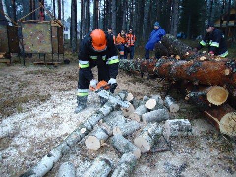 Plaukstas - rokas vibrācijas izraisīta