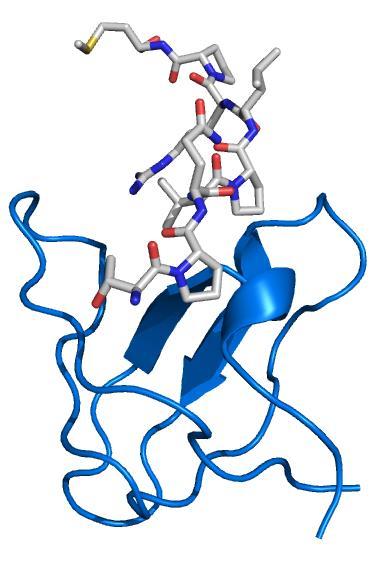 trajne prehodne močne (sprožene) srednje močne šibke PDB 1AVZ PDB 1HCS SH2 domene vežejo