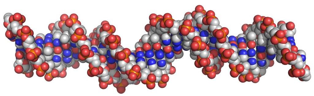 DNA kot ligand ali receptor Obravnjavanje DNA kot ligand: Pri kvantitativni karakterizaciji interakcij in vitro lahko DNA tretiramo kot ligand, ki se veže na protein.