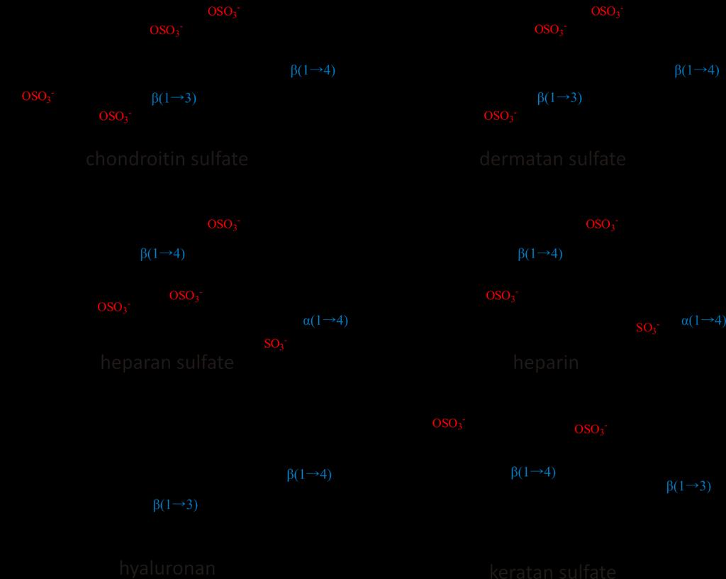 Glikozaminoglikani Linearni negativno nabiti