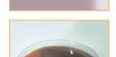 ll