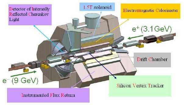 The Detector