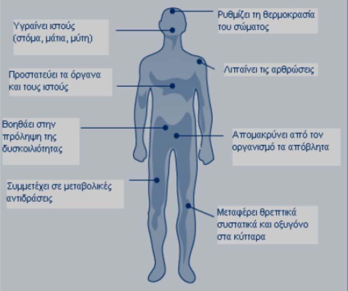 ΕΙΣΑΓΩΓΗ 5 1.1.Ο ρόλος του νερού Το νερό είναι το κυριότερο συστατικό του ανθρώπινου σώματος και είναι απαραίτητο για τη κυτταρική ομοιόσταση και τη ζωή.