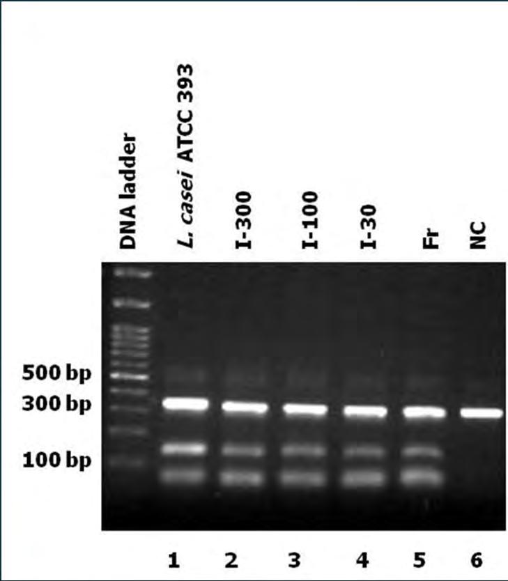 Προβιοτικά Προϊόντα Κρέατος Μοριακή ταυτοποίηση L. casei ATCC 393 σε επίπεδα 6 logcfu/g με strain-specific Multiplex PCR στα προβιοτικά ζυμωμένα λουκάνικα μετά από 66 ημέρες ωρίμανσης (Sidira et al.