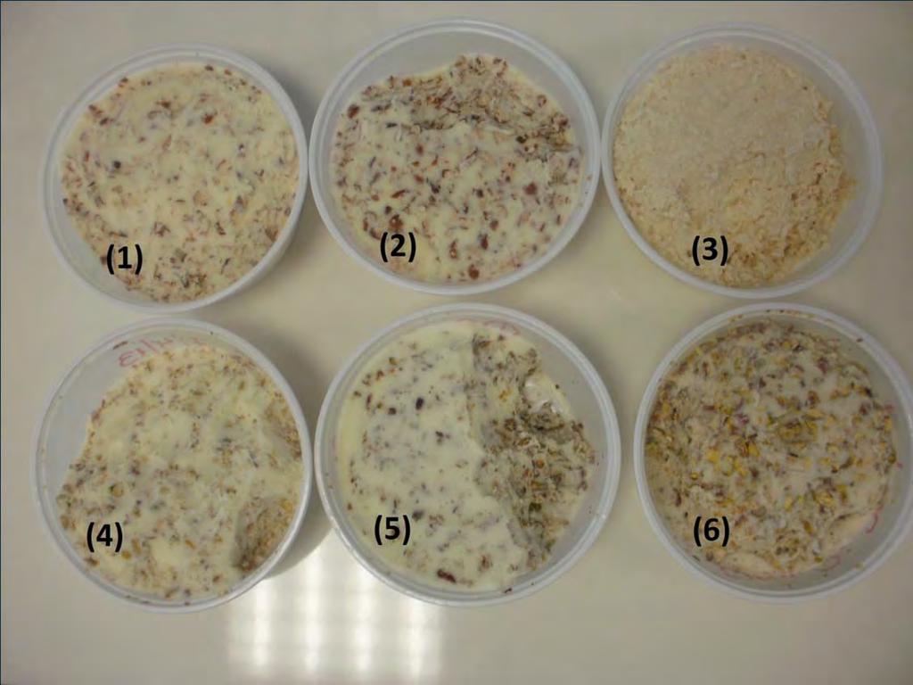 Προβιοτικά Προϊόντα Παγωτού Παραγωγή προβιοτικού παγωτού με ακινητοποιημένα κύτταρα σε ξηρούς καρπούς (1) προβιοτικό παγωτό με υγρά ακινητοποιημένα κύτταρα L.