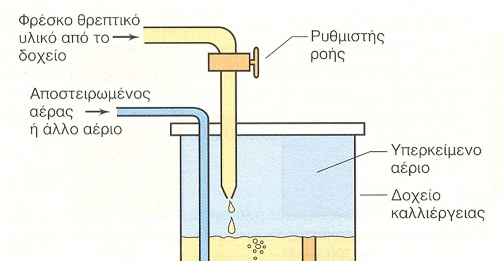 Όπου: μ: ο ρυθμός αύξησης C: η συγκέντρωση του κύριου θρεπτικού συστατικού Κ s : μια σταθερά, αντίστοιχη των