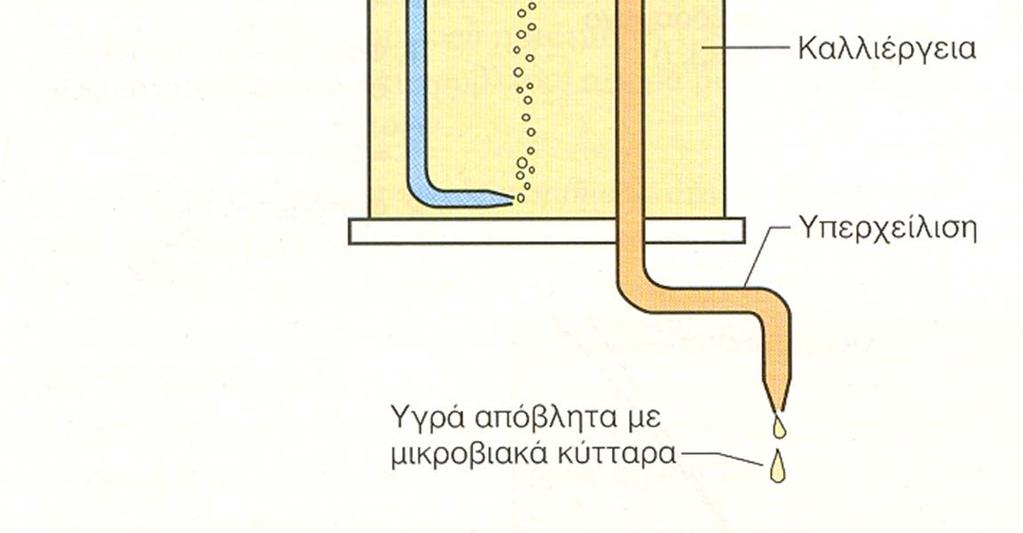 Καλλιέργειες που αναπτύσσονται υπό περιορισμένο χώρο (κλειστές καλλιέργειες) διατηρούν τη λογαριθμική φάση