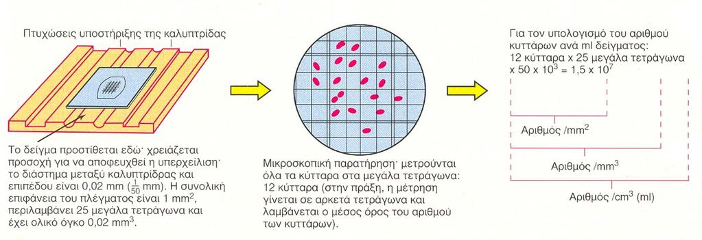 Μετρήσεις μικροβιακού πληθυσμού 1.