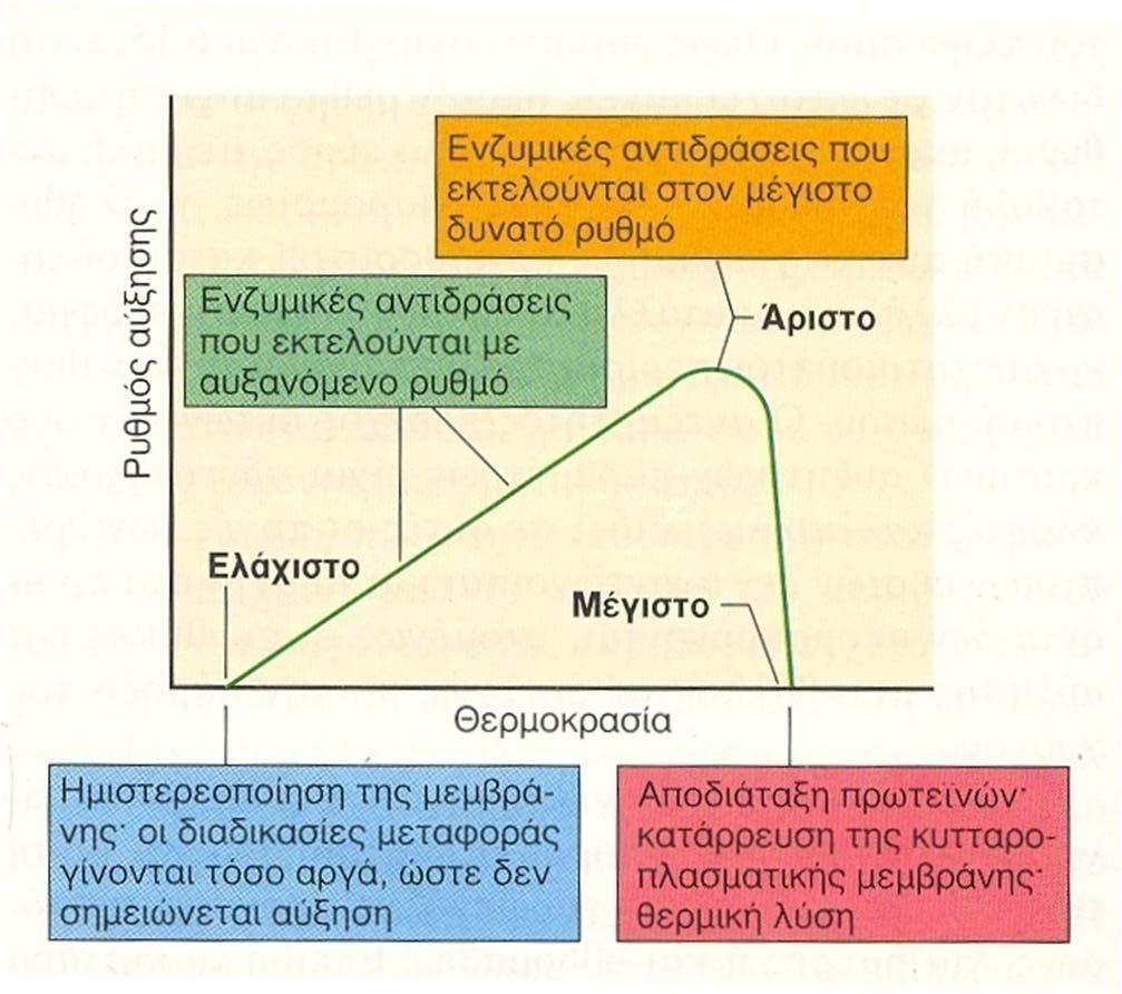 Περιβαλλοντικές επιδράσεις στην μικροβιακή αύξηση Επίδραση της θερμοκρασίας Για κάθε μικροοργανισμό υπάρχει μια ελάχιστη θερμοκρασία, κάτω από την οποία δεν παρατηρείται αύξηση, μια άριστη