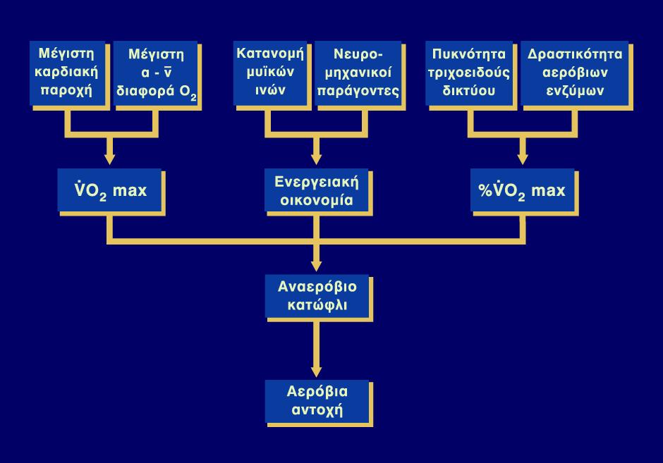 Αερόβια