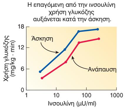 Μεταβολική σύζευξη κατά την άσκηση Η χρήση της γλυκόζης κατά την άσκηση σε συνάρτηση με τέσσερις διαφορετικές συγκεντρώσεις ινσουλίνης.