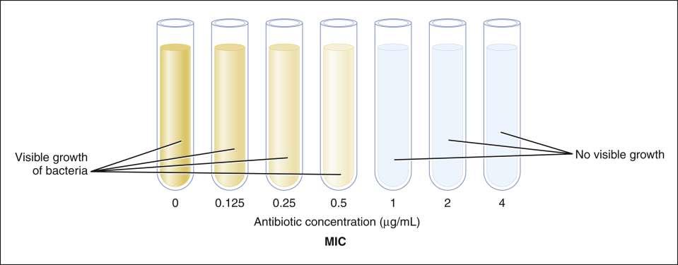 Minimum Inhibitory Concentration ΜΙC (Ελάχιστη Aνασταλτική Συγκέντρωση) Ελάχιστη συγκέντρωση ενός αντιβιοτικού (mg/l), που αναστέλλει την ορατή ανάπτυξη ενός