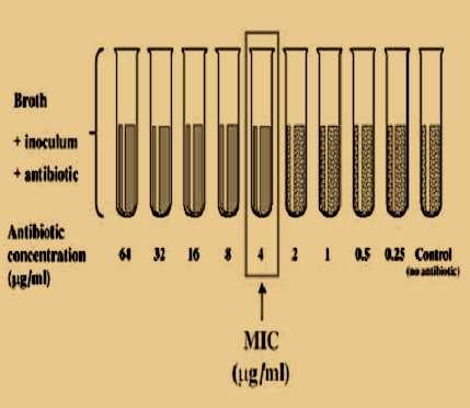 Δείκτες ευαισθησίας ενός μικροβίου in vitro Ελάχιστη ανασταλτική συγκέντρωση - minimal inhibitory concentration(mic) ως