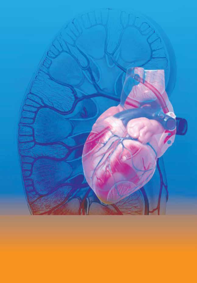Καρδιαγγειακές Παθήσεις και Νεφρική