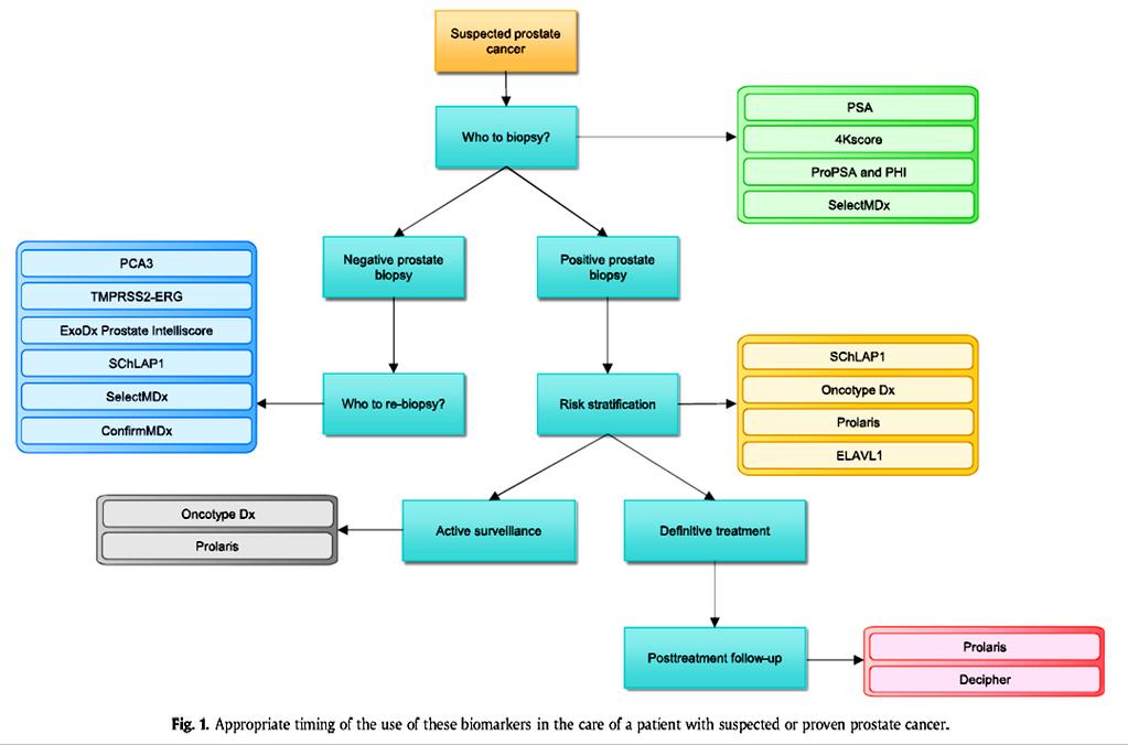 Αλγόριθμος για έγκαιρη ανίχνευση, παρακολούθηση και θεραπεία του PCa Έγκαιρη