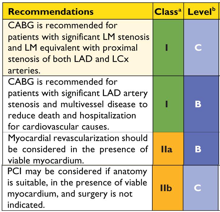 Recommendations on revascularizations in patients with chronic