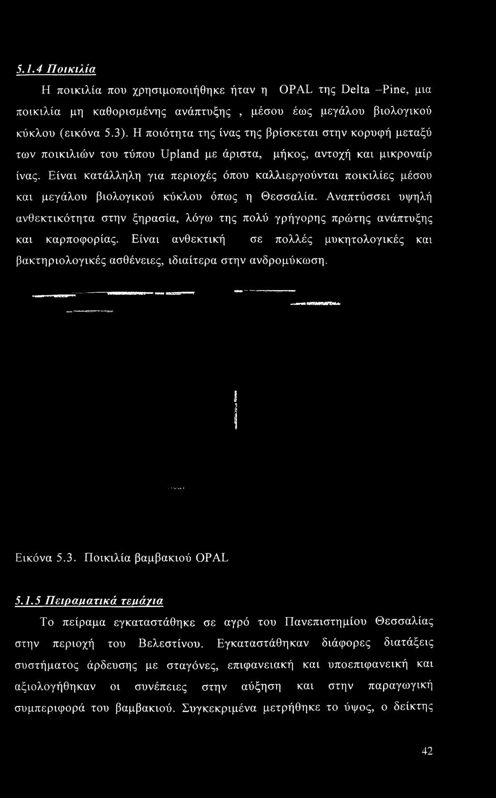 Είναι ανθεκτική σε πολλές μυκητολογικές και βακτηριολογικές ασθένειες, ιδιαίτερα στην ανδρομύκωση. Εικόνα 5.3. Ποικιλία βαμβακιού OPAL 5.1.