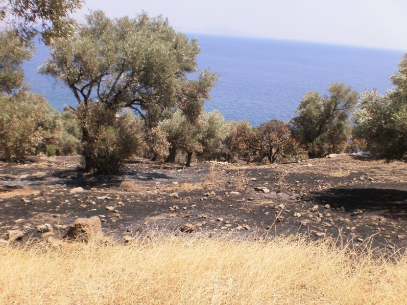 Ποιες είναι οι