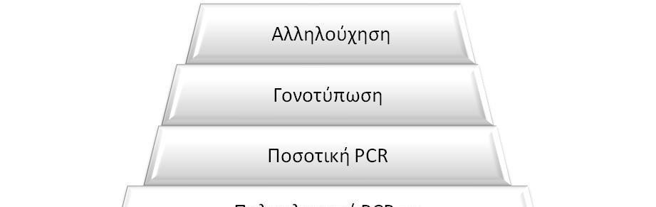 Πολυπλ λοκότητα