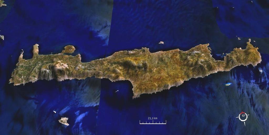 2. Οι κρητικές βουνοκορφές είναι πολύ φτωχές σε είδη και λείπουν παντελώς τα πλειστοκαινικά ή παλιότερα, ψυχρόφιλα υπολειμματικά είδη που συναντούμε στις περισσότερες ελληνικές κορφές μέχρι και τον