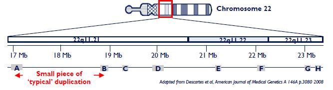 DUP 22q11.21; 2.