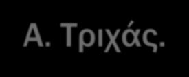Διαφάνειες