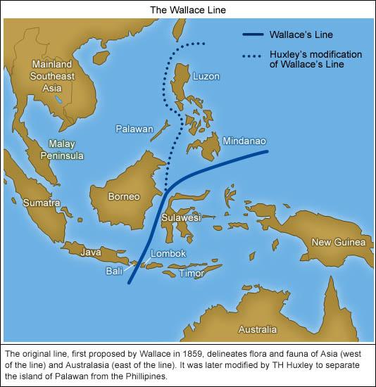 Borneo and Bali, the latter clearly visible across the strait?