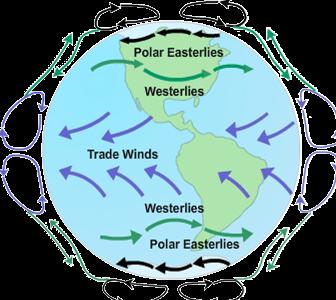 Ο θερμός αέρας των τροπικών μετακινείται βόρεια και νότια και πέφτει λόγω ψύξης σε γεωγραφικό πλάτος 30ο και επαναλαμβάνεται ο κύκλος.