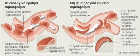 Μεταλάξεις και ανθρώπινες