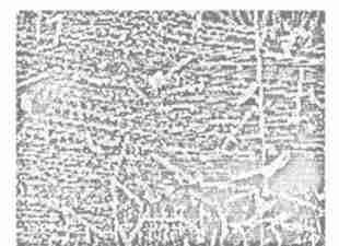 340 25 (a) Λ vṡ p curves (b) W ear rate Μṡ p curves F ig 2 V ariation of friction coefficients and w ear rate w ith load fo r the unfilled and 10%M os22filled carbon