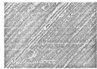4 : M os2 PT FE 341,,, [ 3 (c) ]., PT FE M os2,.