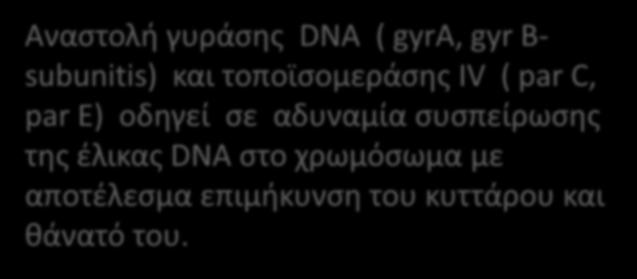 έλικας DNA στο χρωμόσωμα με