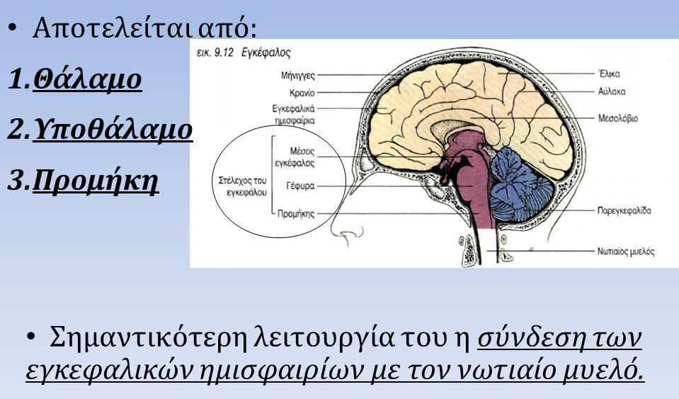 Κεντρικό Νευρικό